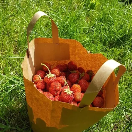 Bauernhof Zabi Skok Kepiny Male